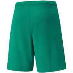 Мужские шорты Puma team Rise, зеленый 704942 05 цена и информация | Мужская спортивная одежда | pigu.lt