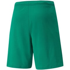 Vyriški šortai Puma teamRISE Short žali 704942 05 kaina ir informacija | Sportinė apranga vyrams | pigu.lt