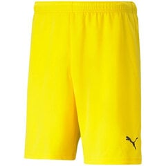 Мужские шорты Puma team Rise Short Кибер желтый 704942 07 цена и информация | Мужская спортивная одежда | pigu.lt