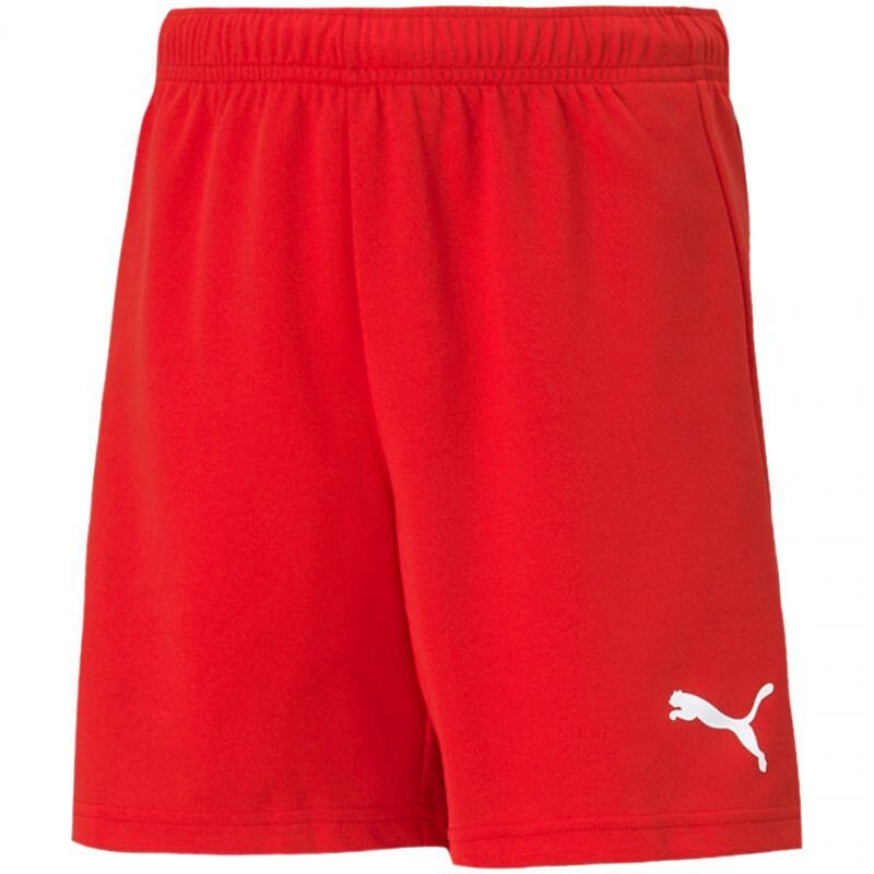 Sportiniai šortai Puma team Rise Short Jr 704943 01 kaina ir informacija | Šortai berniukams | pigu.lt