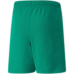 Детские шорты Puma teamRISE Short Jr 704943 05, зеленые цена и информация | Шорты для мальчиков Gulliver, серые милитари | pigu.lt