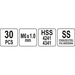 Sriegio remonto rinkinys M6 x 1.00 30 vnt kaina ir informacija | Mechaniniai įrankiai | pigu.lt