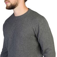Мужская кофта цена и информация | Мужские свитера | pigu.lt