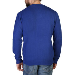 Megztinis vyrams, mėlynas kaina ir informacija | Megztiniai vyrams | pigu.lt