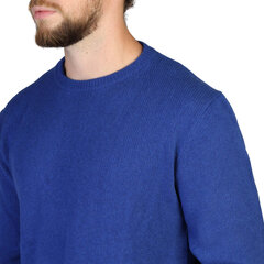Megztinis vyrams, mėlynas kaina ir informacija | Megztiniai vyrams | pigu.lt