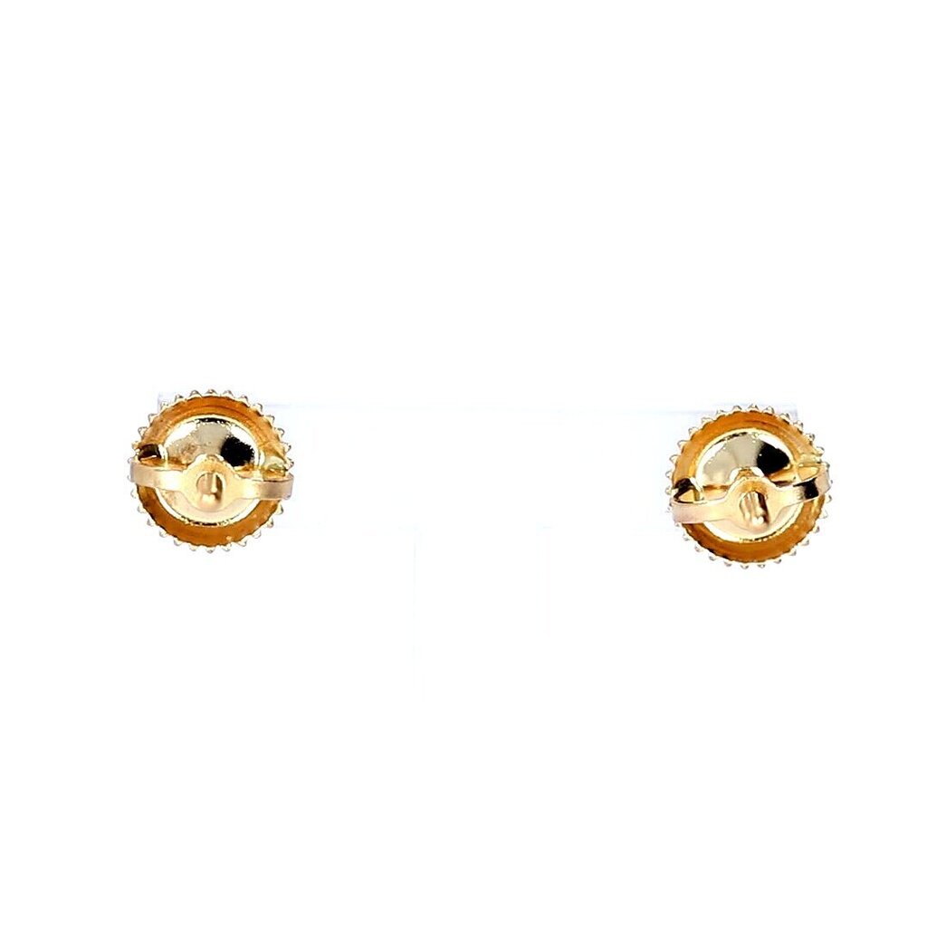 Auksiniai auskarai su safyrais moterims kaina ir informacija | Auskarai | pigu.lt