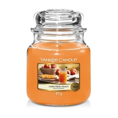 Vidutinė kvapioji žvakė Yankee CAanfle Medium Jar Farm Fresh Peach, 411g kaina ir informacija | Žvakės, Žvakidės | pigu.lt