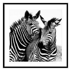 Paveikslas Zebra, Stiklas, (2 x 50 x 50 cm) kaina ir informacija | Reprodukcijos, paveikslai | pigu.lt