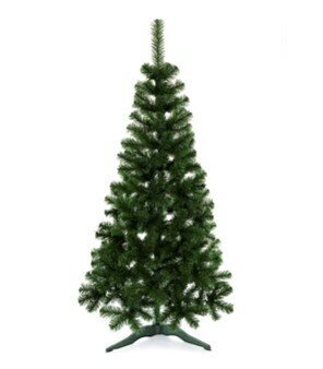 Kalėdinė eglutė Nore Eco, 1.2 m kaina ir informacija | Eglutės, vainikai, stovai | pigu.lt