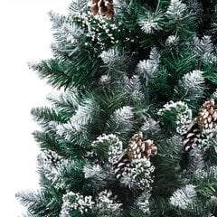 Dirbtinė kalėdinė eglutė vidaXL, 180 cm kaina ir informacija | Eglutės, vainikai, stovai | pigu.lt