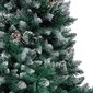 Dirbtinė kalėdinė eglutė vidaXL, 210 cm kaina ir informacija | Eglutės, vainikai, stovai | pigu.lt
