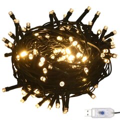 LED lempučių girlianda, 30 m kaina ir informacija | Girliandos | pigu.lt