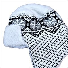 Комплект шапки и шарфа цена и информация | Женские шапки | pigu.lt