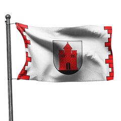 Panevėžio vėliava skirta kabinti ant stiebo, 100x170 cm цена и информация | Флаги и аксессуары к ним | pigu.lt