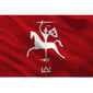 Vyčio vėliava VI Senasis Vytis, skirta kabinti ant stiebo, 100x170 cm цена и информация | Vėliavos ir jų priedai | pigu.lt