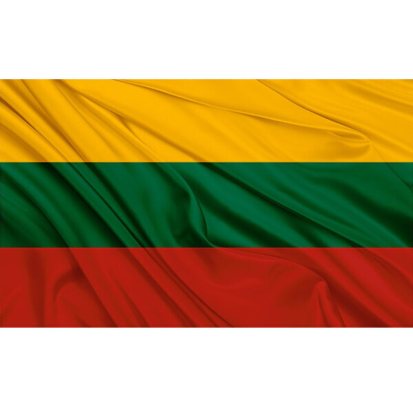 Prabangi Lietuvos vėliava skirta kabinti ant koto, 100x170 cm kaina ir informacija | Vėliavos ir jų priedai | pigu.lt