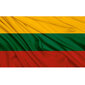 Prabangi Lietuvos vėliava skirta kabinti ant koto, 100x170 cm kaina ir informacija | Vėliavos ir jų priedai | pigu.lt