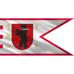 Žemaitijos vėliava IV skirta kabinti ant stiebo, 100x160 cm цена и информация | Флаги и аксессуары к ним | pigu.lt