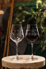 Villeroy & Boch набор бокалов для красного вина Toy's Delight, 2 шт. цена и информация | Стаканы, фужеры, кувшины | pigu.lt