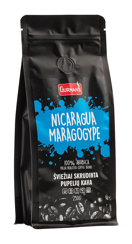 Gurman's Nicaragua Maragogype kavos pupelės, 250g kaina ir informacija | Kava, kakava | pigu.lt