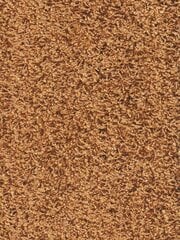 Narma kilimas Spice 300x400 cm kaina ir informacija | Kilimai | pigu.lt
