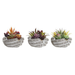 Dekoratyvinis augalas DKD Home Decor Keramikos dirbinys (PP) (3 pcs) (18 x 17 x 16 cm) цена и информация | Детали интерьера | pigu.lt