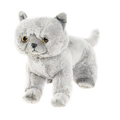 Smiki Плюшевый шотландский котенок, 25 см цена и информация | Мягкие игрушки | pigu.lt