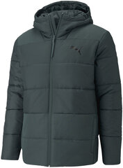 Мужская куртка Puma WarmCell Padded Jacket Green 587709 80/L цена и информация | Мужские куртки | pigu.lt