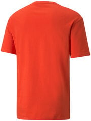 Puma Футболки Rad Cal Tee Grena Orange 589385 32/M цена и информация | Мужские футболки | pigu.lt