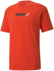 Puma Футболки Rad Cal Tee Grena Orange 589385 32/M цена и информация | Футболка мужская | pigu.lt