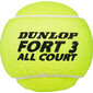 Teniso Kamuoliukai Dunlop Fort All Court Tournament Select 4vnt kaina ir informacija | Lauko teniso prekės | pigu.lt