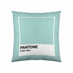 Pagalvėlės užvalkalas Calm Sea Pantone kaina ir informacija | Dekoratyvinės pagalvėlės ir užvalkalai | pigu.lt