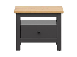 Ночной столик BRW Hesen 1S, серый/коричневый цена и информация | Прикроватные тумбочки | pigu.lt