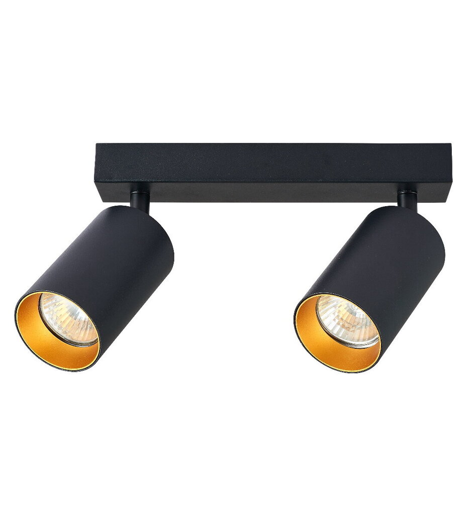 Kryptinis 2xGU10 šviestuvas juoda-aukso spalva kaina ir informacija | Lubiniai šviestuvai | pigu.lt