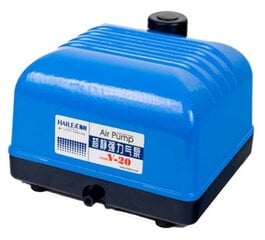 Orapūtė aeravimui Hailea V20 kaina ir informacija | Vandens filtrai, valymo įrenginiai | pigu.lt