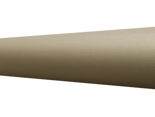Profilis A10 sujungimo su juoda guma, matinio šampano, Effector kaina ir informacija | Sujungimo profiliai | pigu.lt