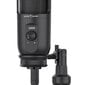 Žaidimų mikrofonas White Shark DSM-03 Taus kaina ir informacija | Mikrofonai | pigu.lt