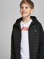 Jack & Jones striukė berniukams 12182303 01, juoda kaina ir informacija | Megztiniai, bluzonai, švarkai berniukams | pigu.lt