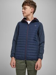 Bluzonas berniukams Jack&Jones 5714925768383, mėlynas kaina ir informacija | Megztiniai, bluzonai, švarkai berniukams | pigu.lt