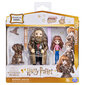 Mini draugystės rinkinys Hermiona ir Hagridas Haris Poteris (Harry Potter) kaina ir informacija | Žaislai berniukams | pigu.lt