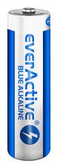 Батарейки everActive ALEV6S2BK, 40 шт. цена и информация | Батарейки | pigu.lt