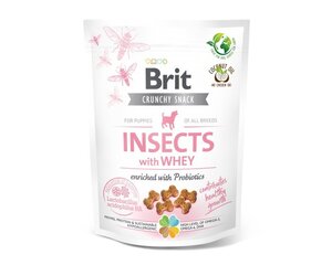 Brit Care Dog Puppy Insect с насекомыми и пробиотиками, 200 г цена и информация | Лакомства для собак | pigu.lt