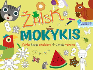 Žaisk ir mokykis. Veiklos knyga smalsiems 4-5 metų vaikams цена и информация | Развивающие книги | pigu.lt