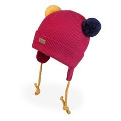 Хлопковая шапка TuTu, красная цена и информация | Шапки, перчатки, шарфики для новорожденных | pigu.lt