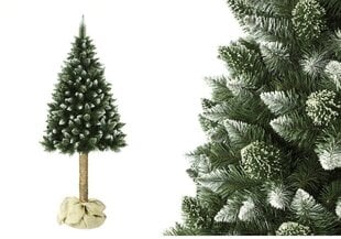 Рождественская елка, 2.2 м цена и информация | Искусственные елки | pigu.lt
