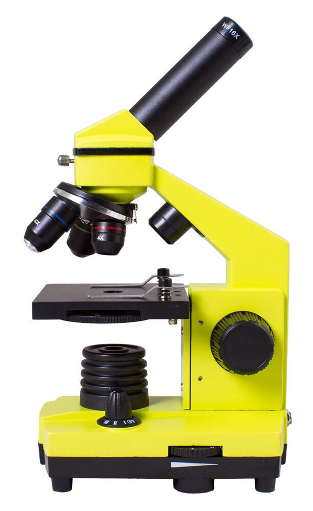 Levenhuk Rainbow 2L PLUS цена и информация | Teleskopai ir mikroskopai | pigu.lt