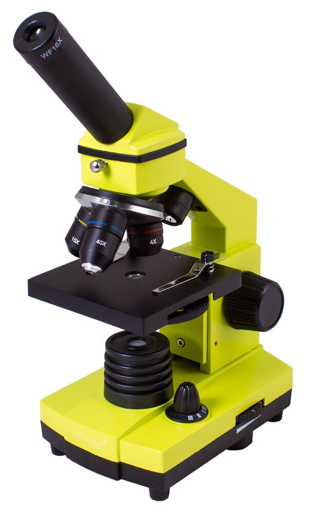 Levenhuk Rainbow 2L PLUS цена и информация | Teleskopai ir mikroskopai | pigu.lt