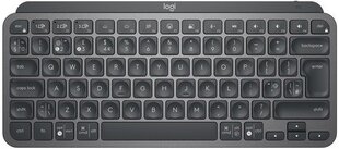 Logitech 920-010498 цена и информация | Клавиатуры | pigu.lt