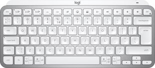 Logitech MX Keys Mini kaina ir informacija | Klaviatūros | pigu.lt