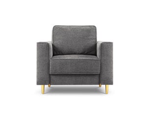 Fotelis Cosmopolitan Design Fano, pilkos/auksinės spalvos kaina ir informacija | Svetainės foteliai | pigu.lt